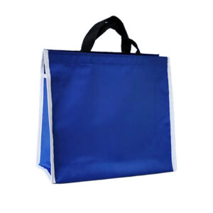 BOLSA MANDADERA 30x35CM LONA (100PZ) SIN ESTAMPADO